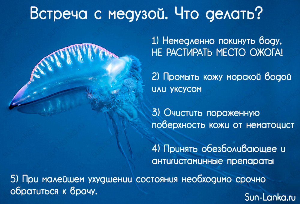 Что делать если обожгла медуза