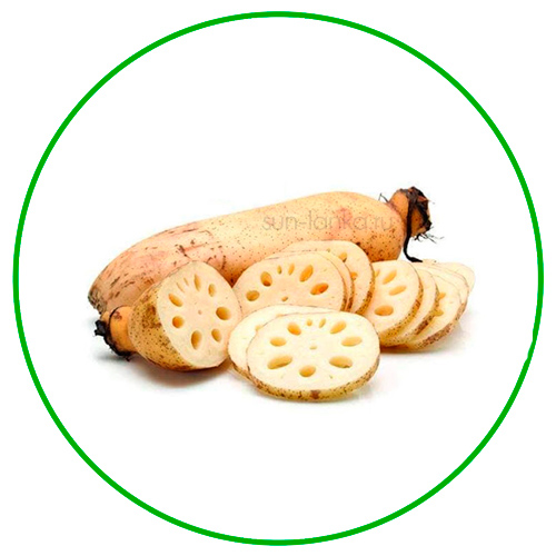 Корень лотоса, Шри-Ланка