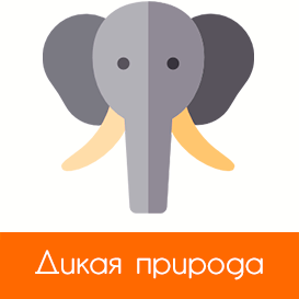 Дикая природа Шри Ланки